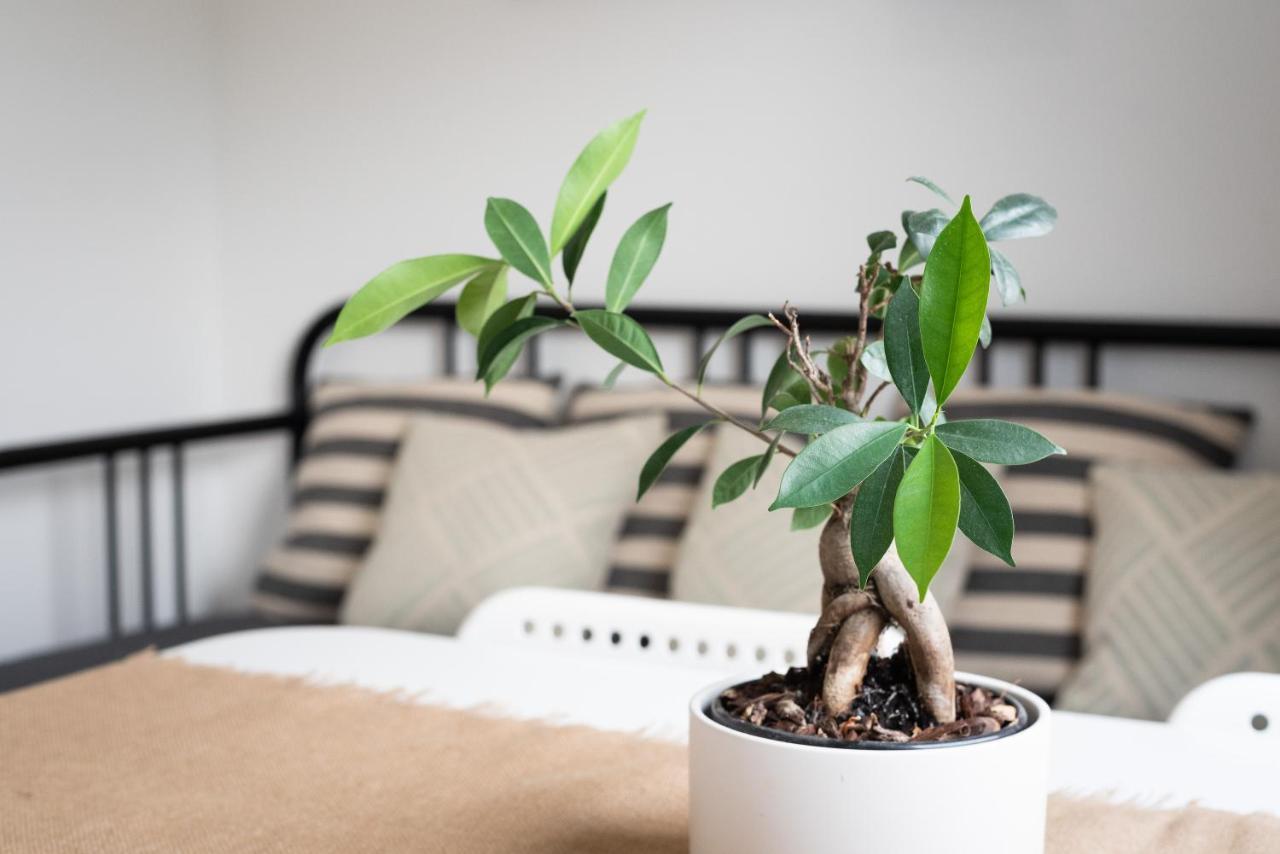 コペルCasa Limoncino By Locap Groupアパートメント エクステリア 写真